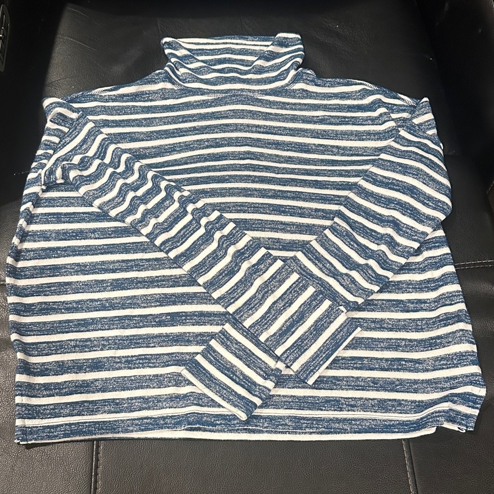 Banana Republic Navy and White Striped Turtleneck Sweater